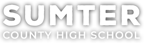 Iconic School District
