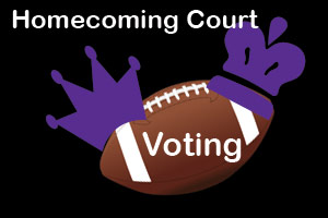 HoCo Voting Day