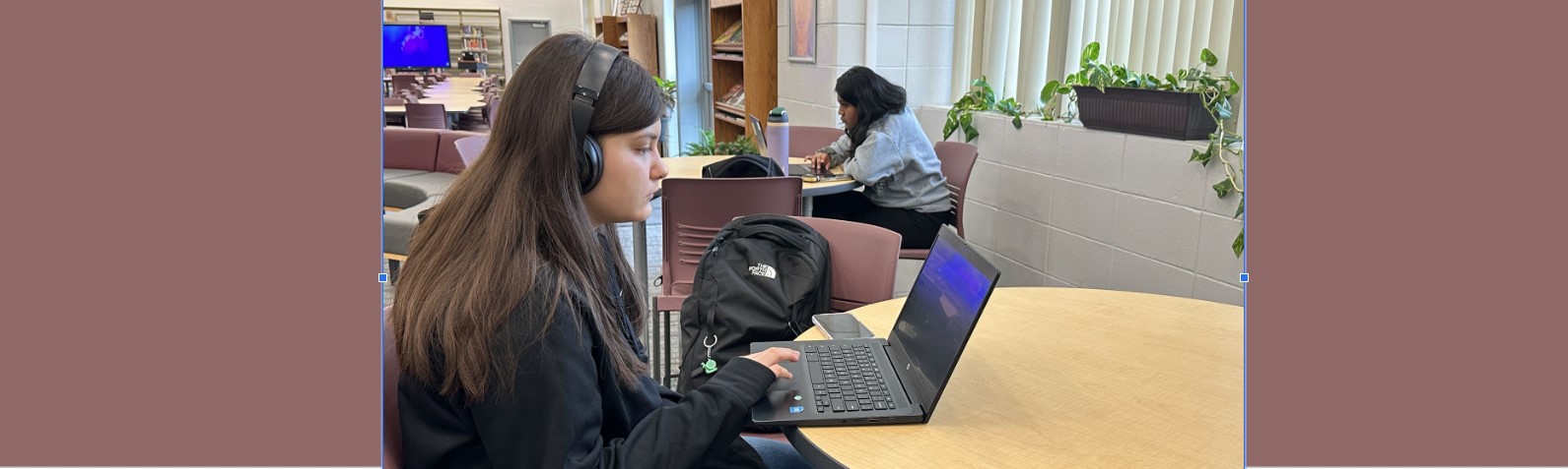 Online Students on Chromebooks