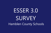 Esser 3.0 Survey Logo