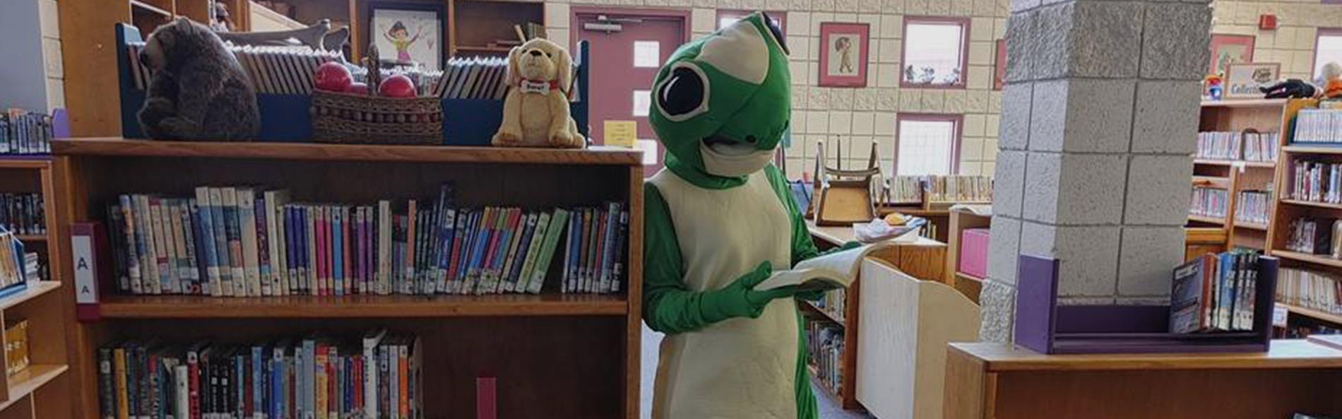 Gecko in TVES Library