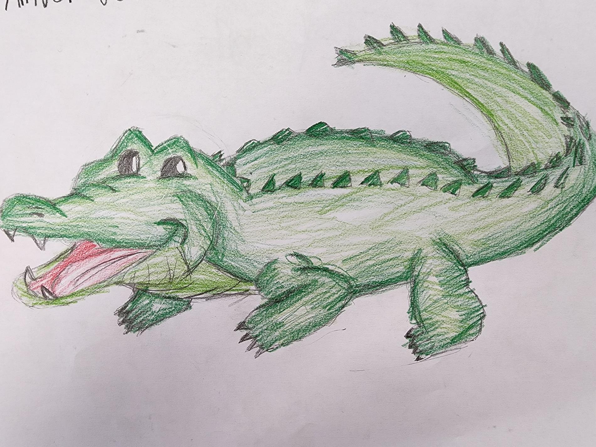 gator