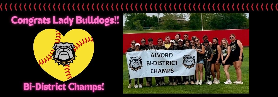 sbbidistrict