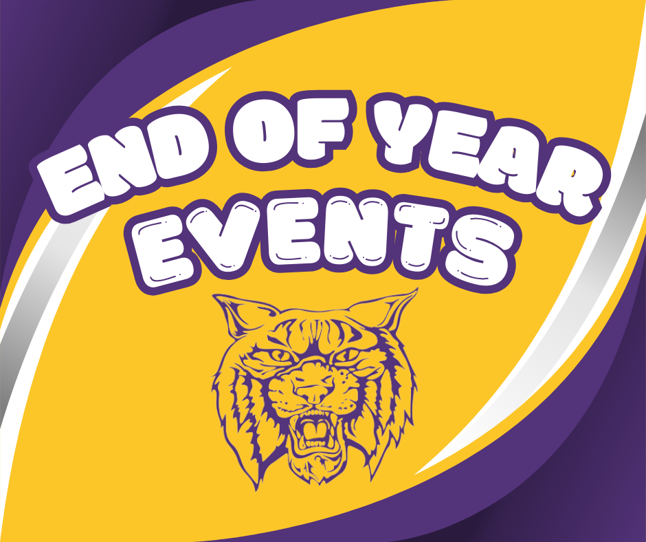 end of year events, wildcat face