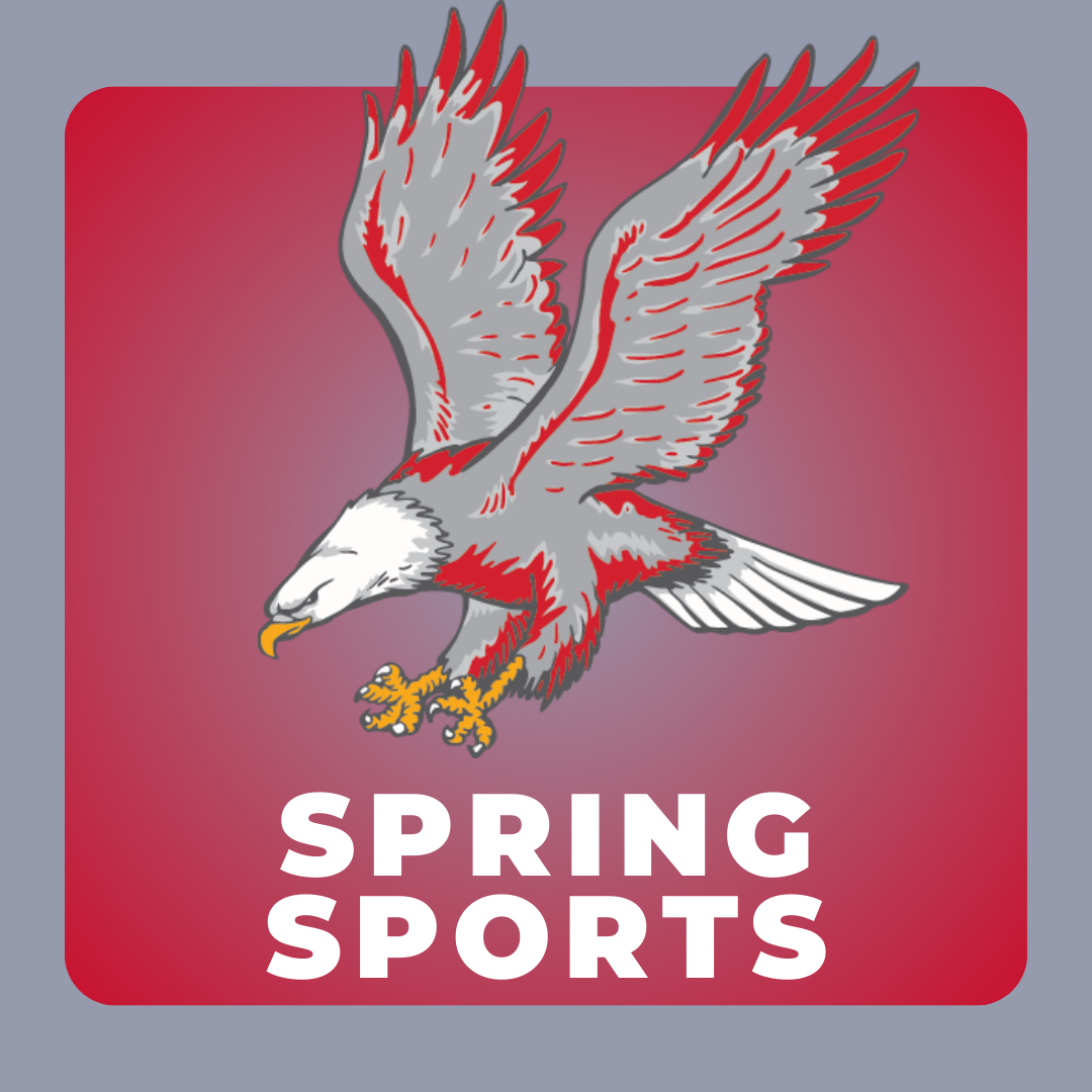 Spring Sports