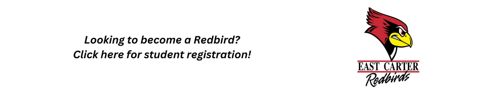 redbird student registration