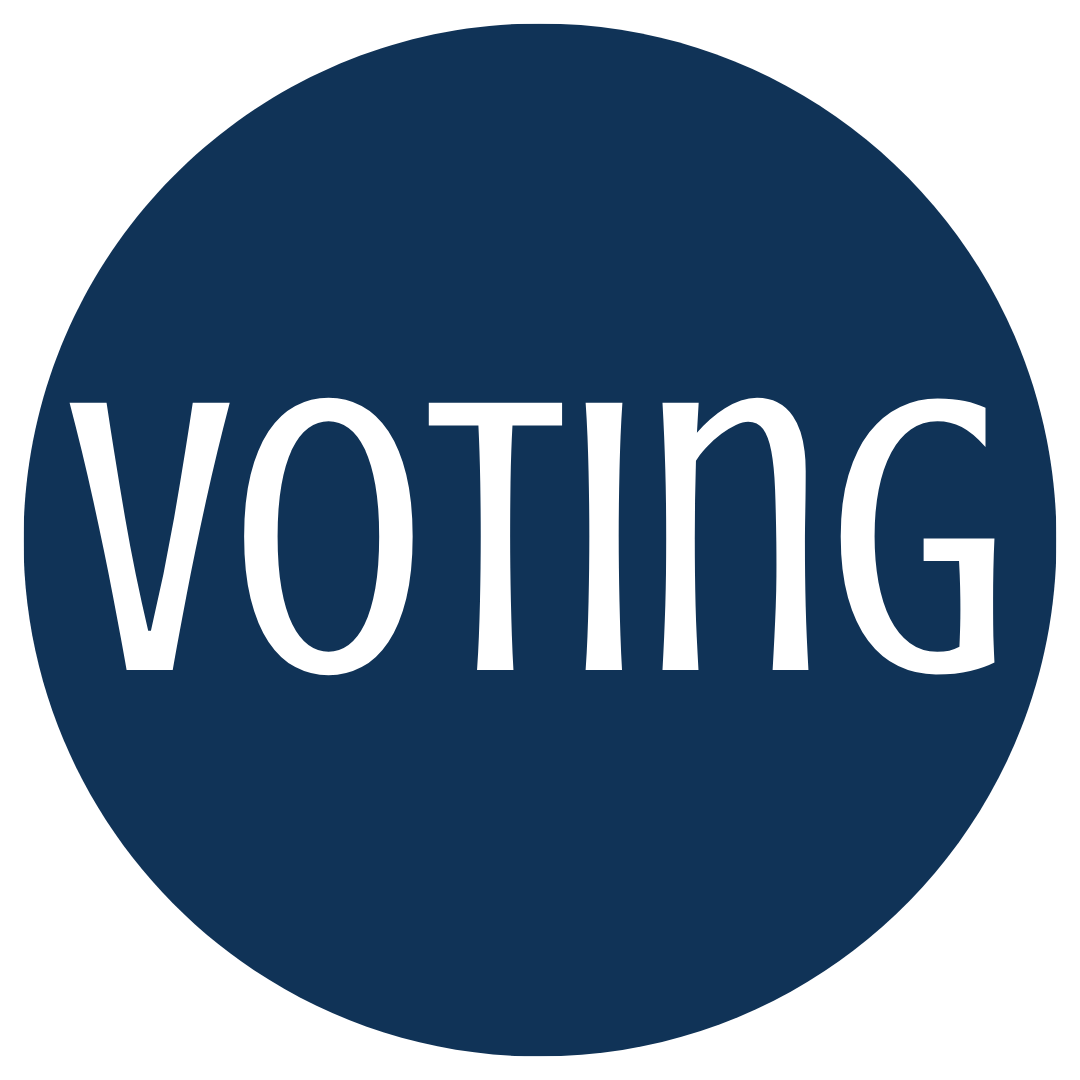 Voting info Voting info