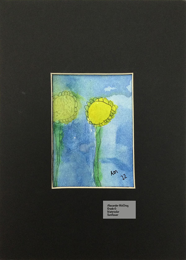 Alexander McElroy - Watercolor - Sunflower
