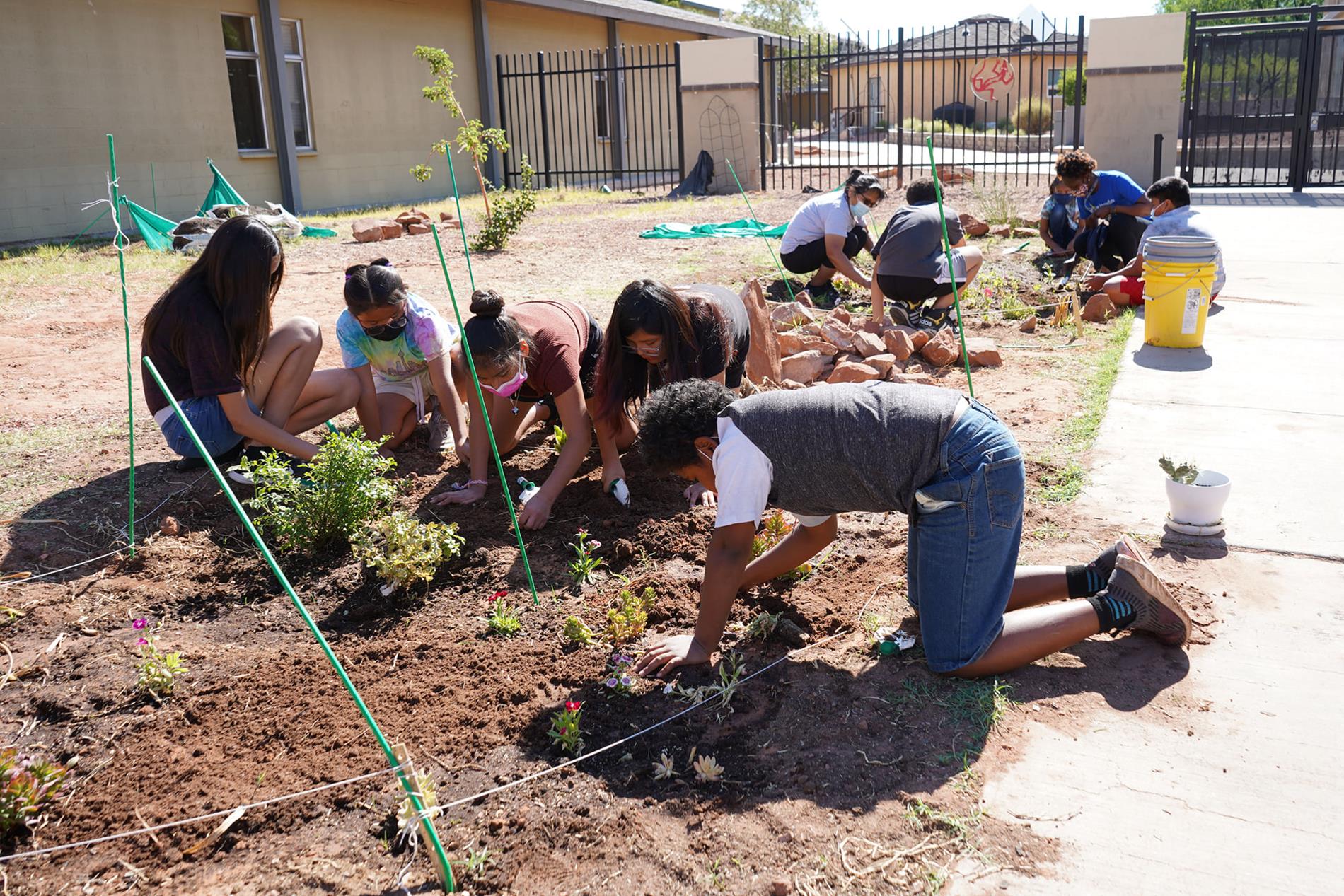 Desert View Students in the gardening club. Desert View Students in the gardening club.