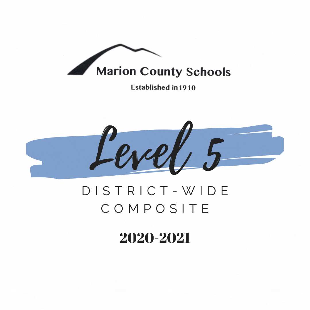 Home Marion County Schools