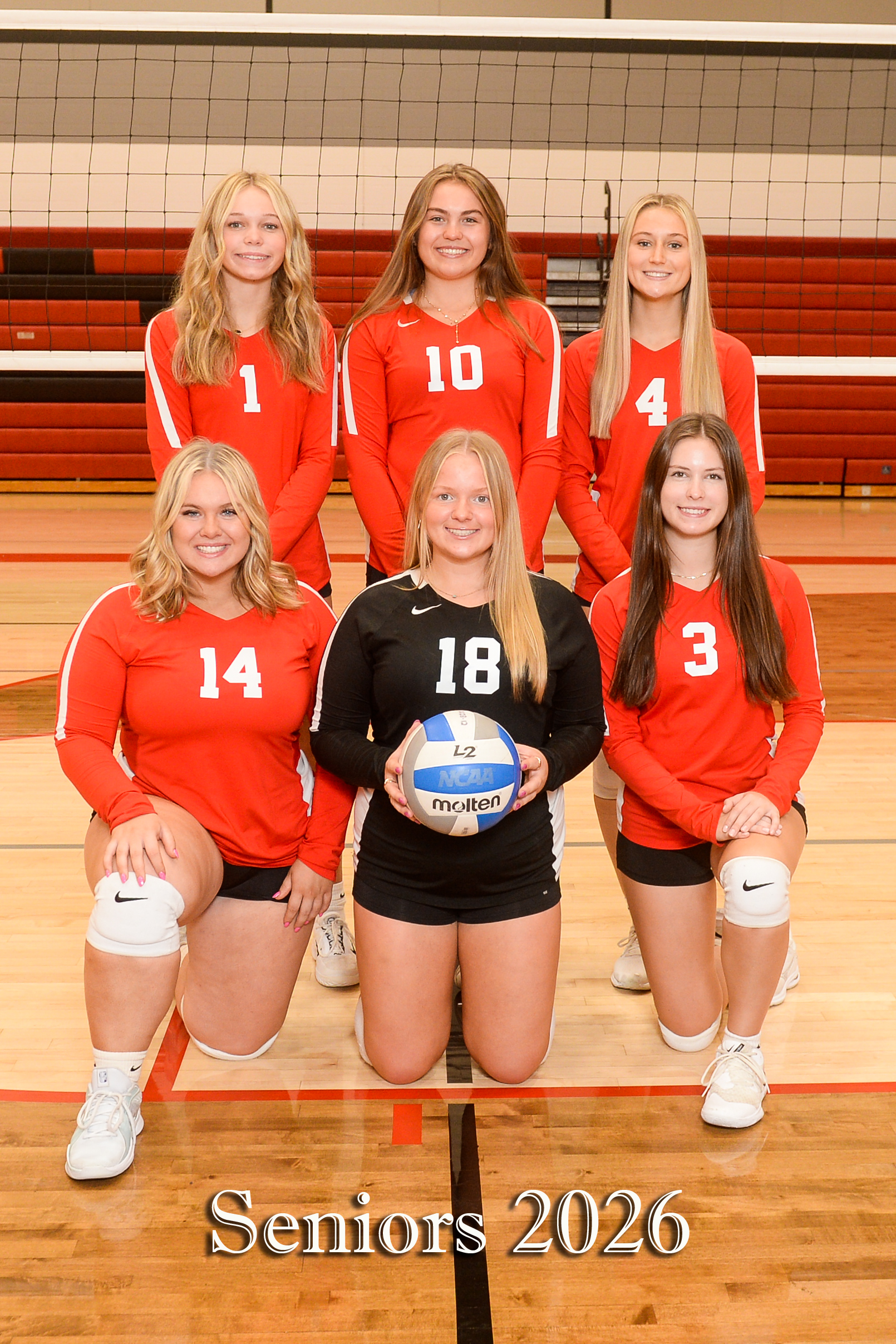 Volleyball Seniors 2024