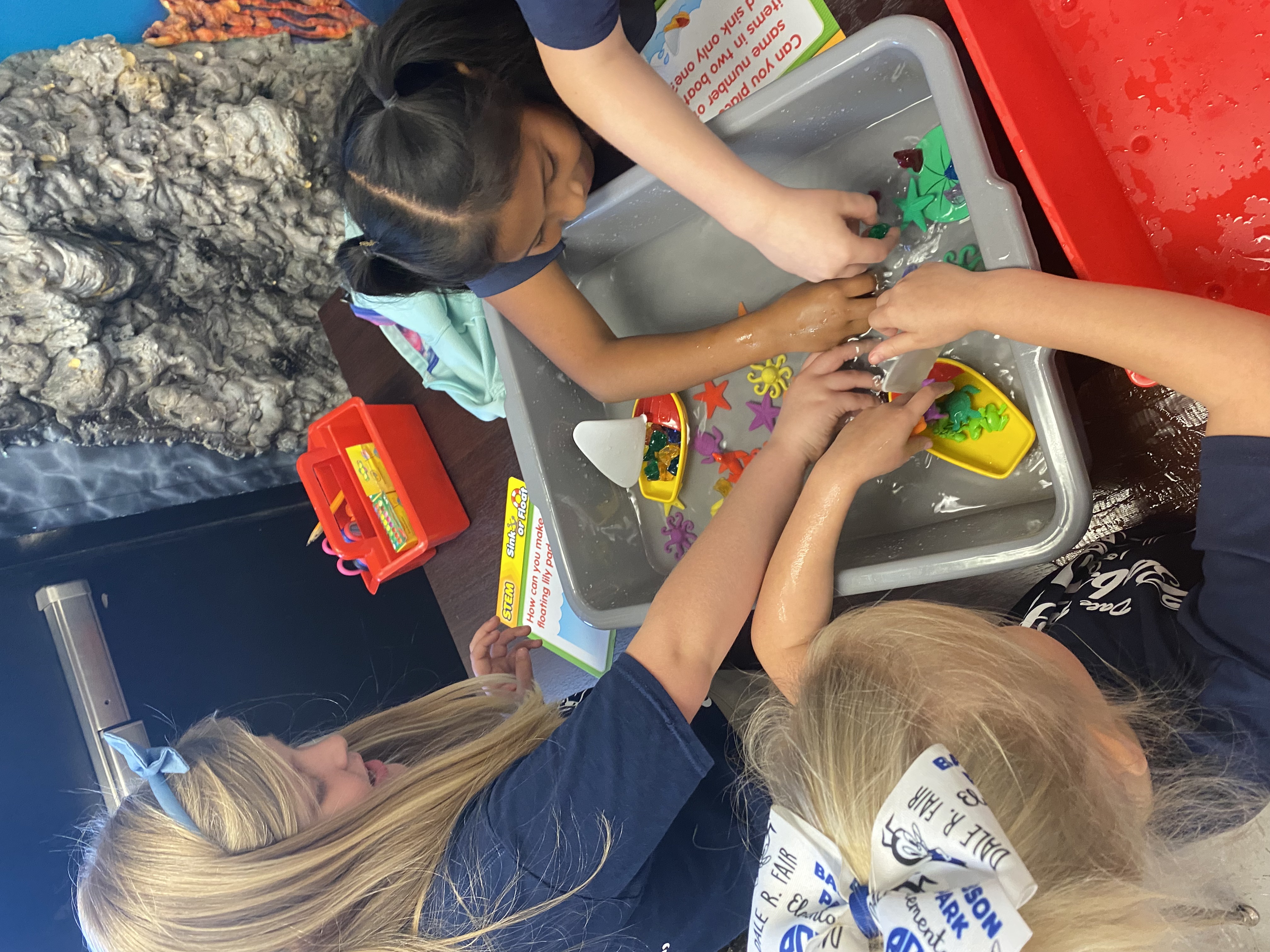 1st Grade students exploring if things sink or float.