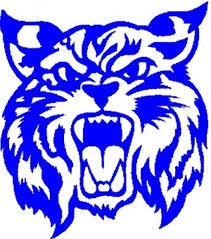 Pic of blue wildcat