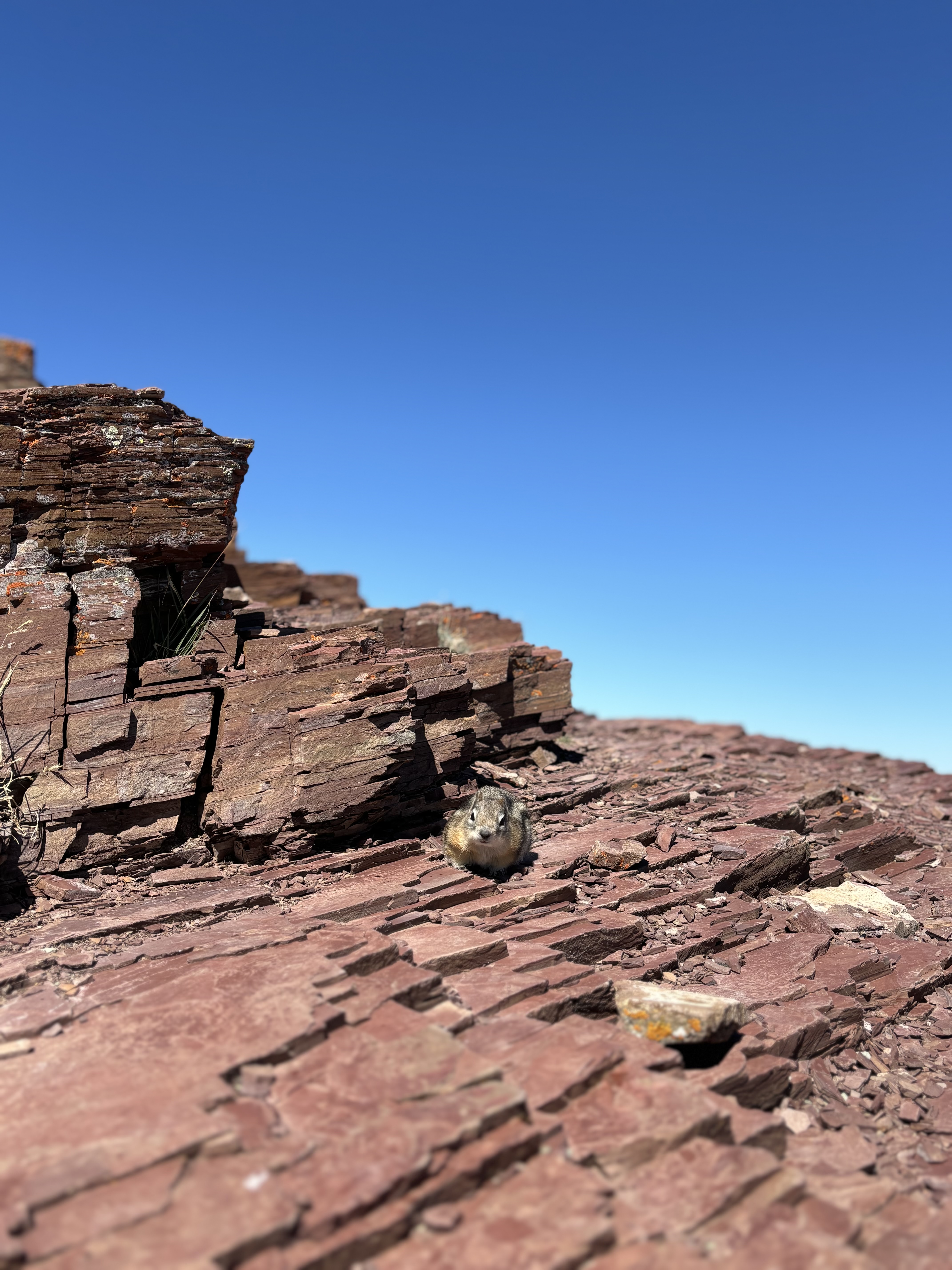 Scenic Point Hike