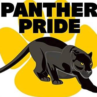 picture of a panther 