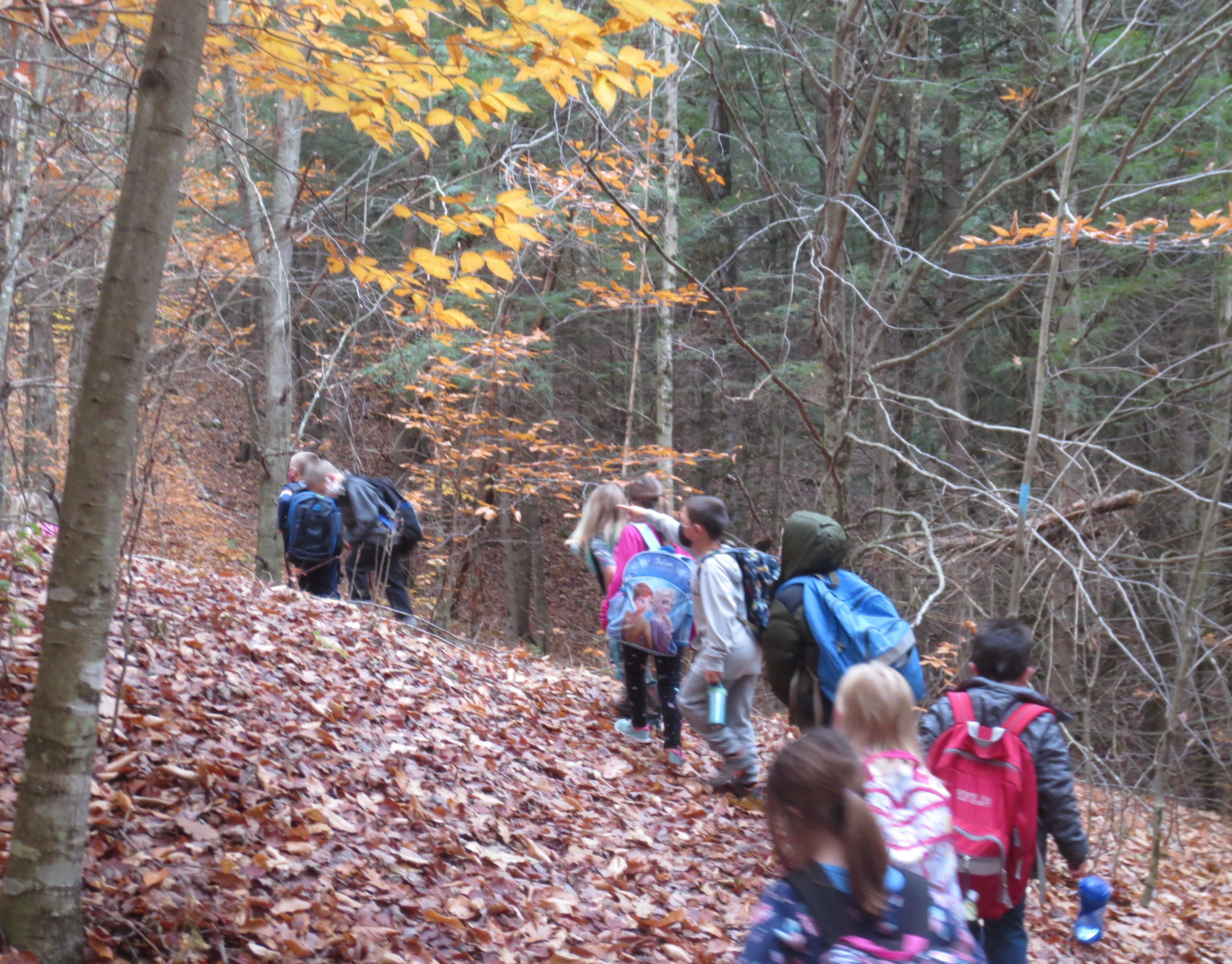 All School Hike on the Cross Rivendell Trail