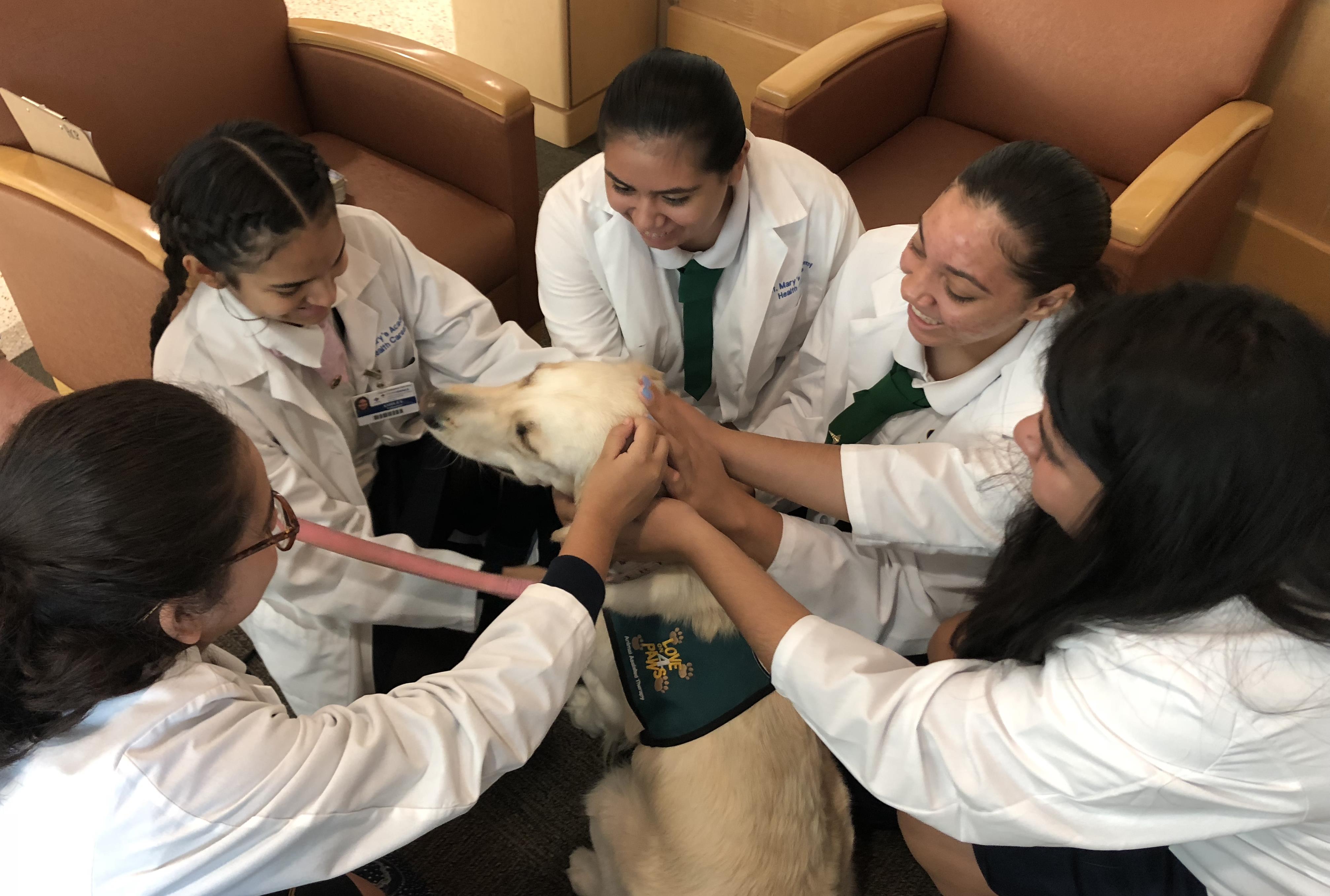 Health Career students with hospital therapy dog
