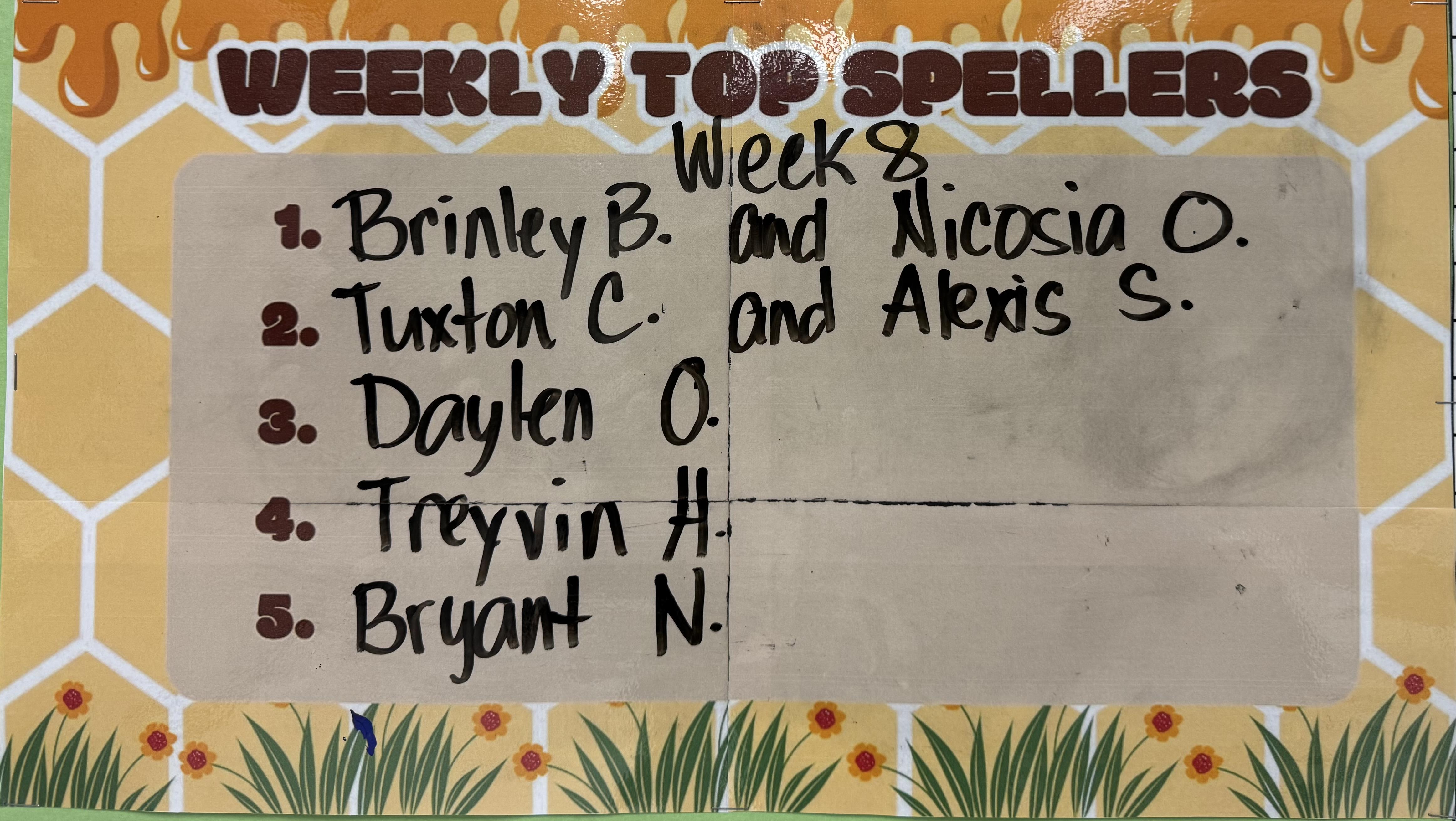 Week 8