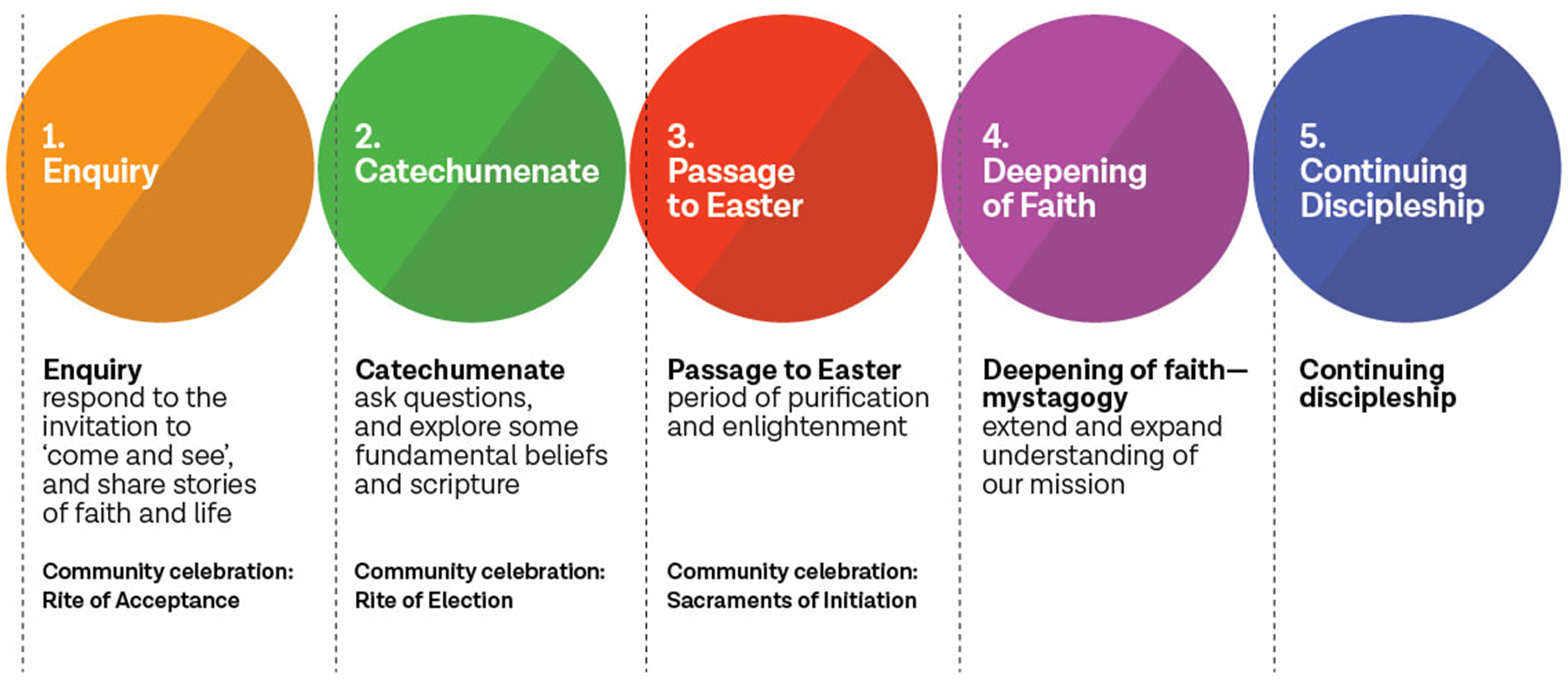 Five-Phases-of-RCIA