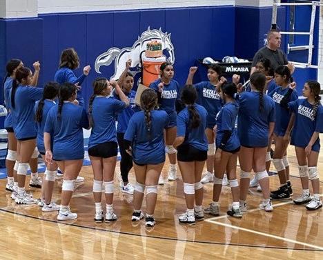 lady mustangs