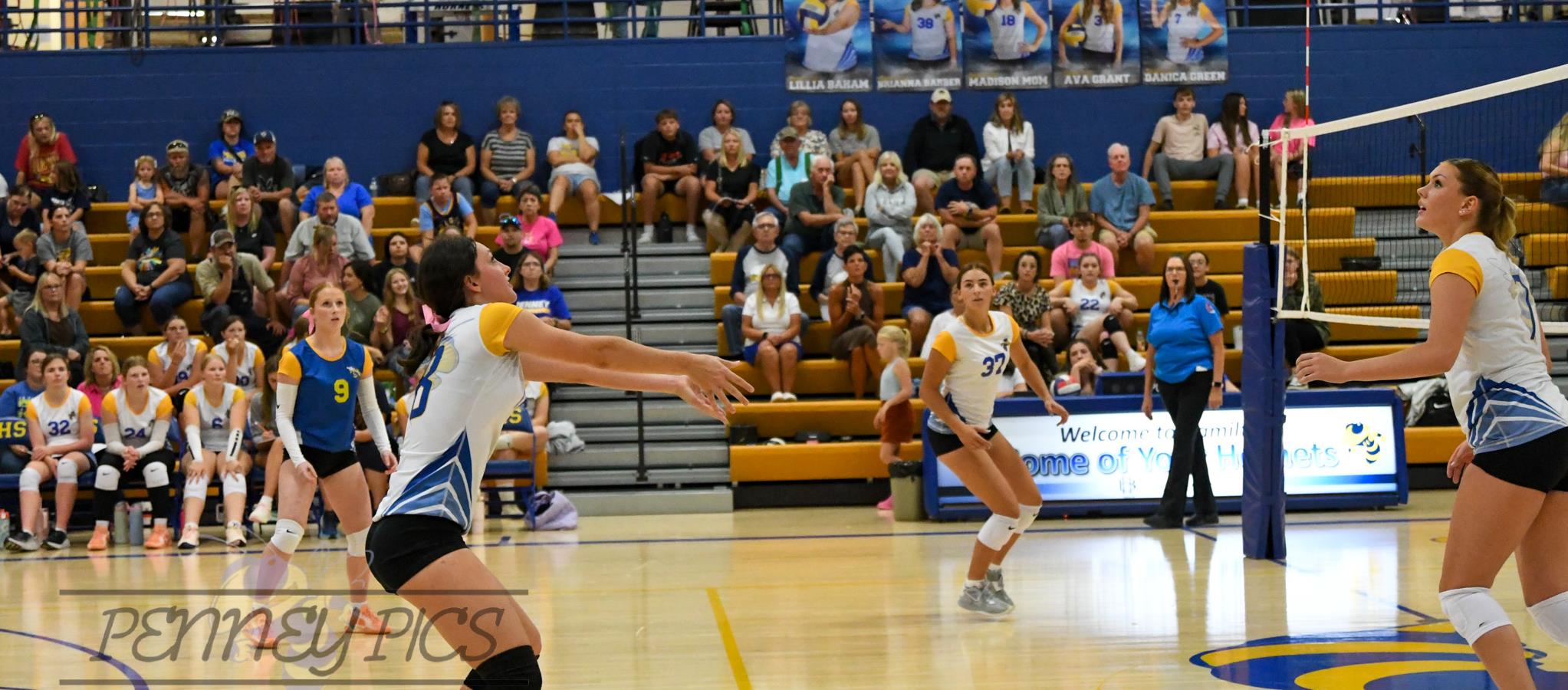 volleyball