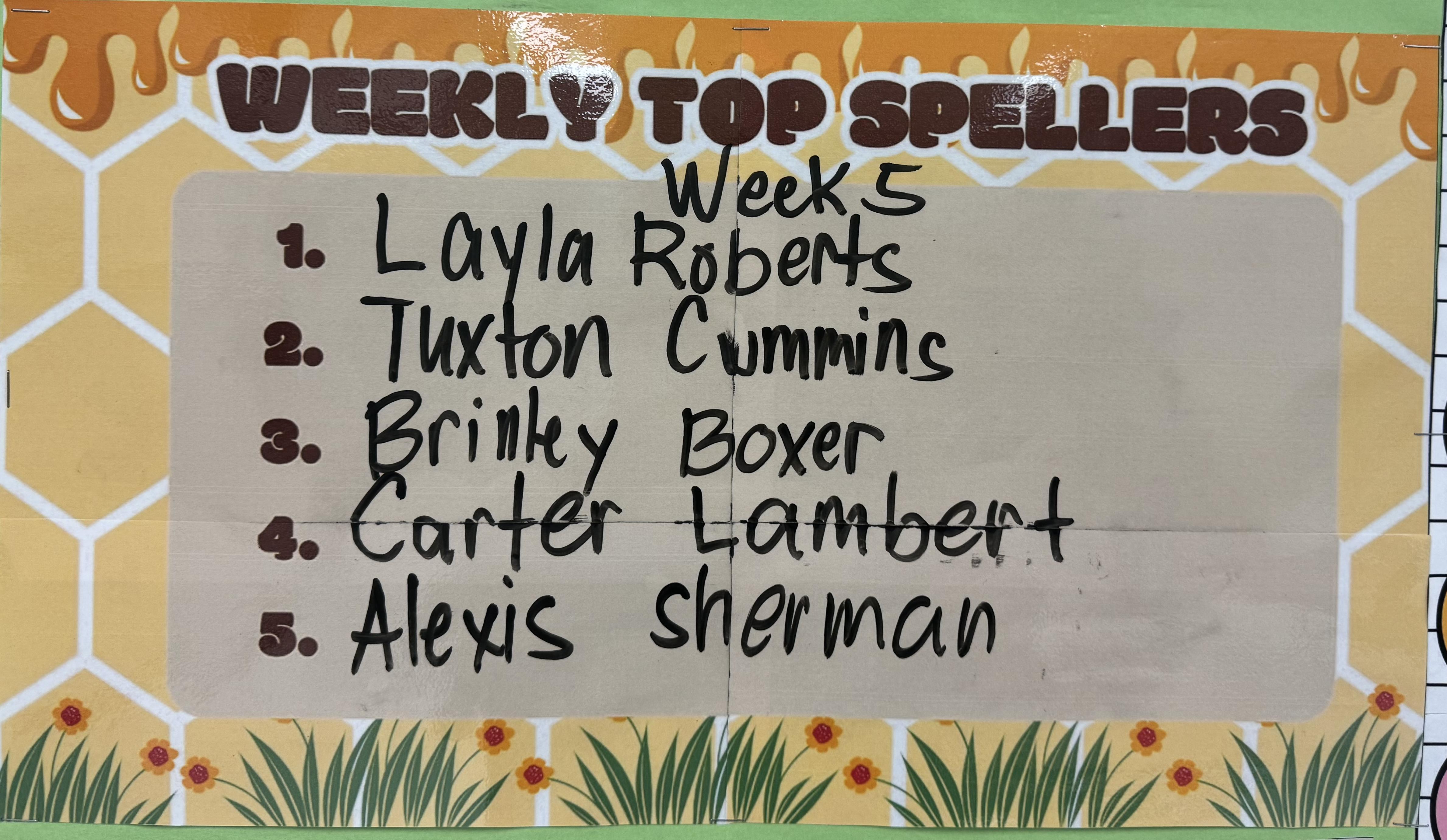 Week 5