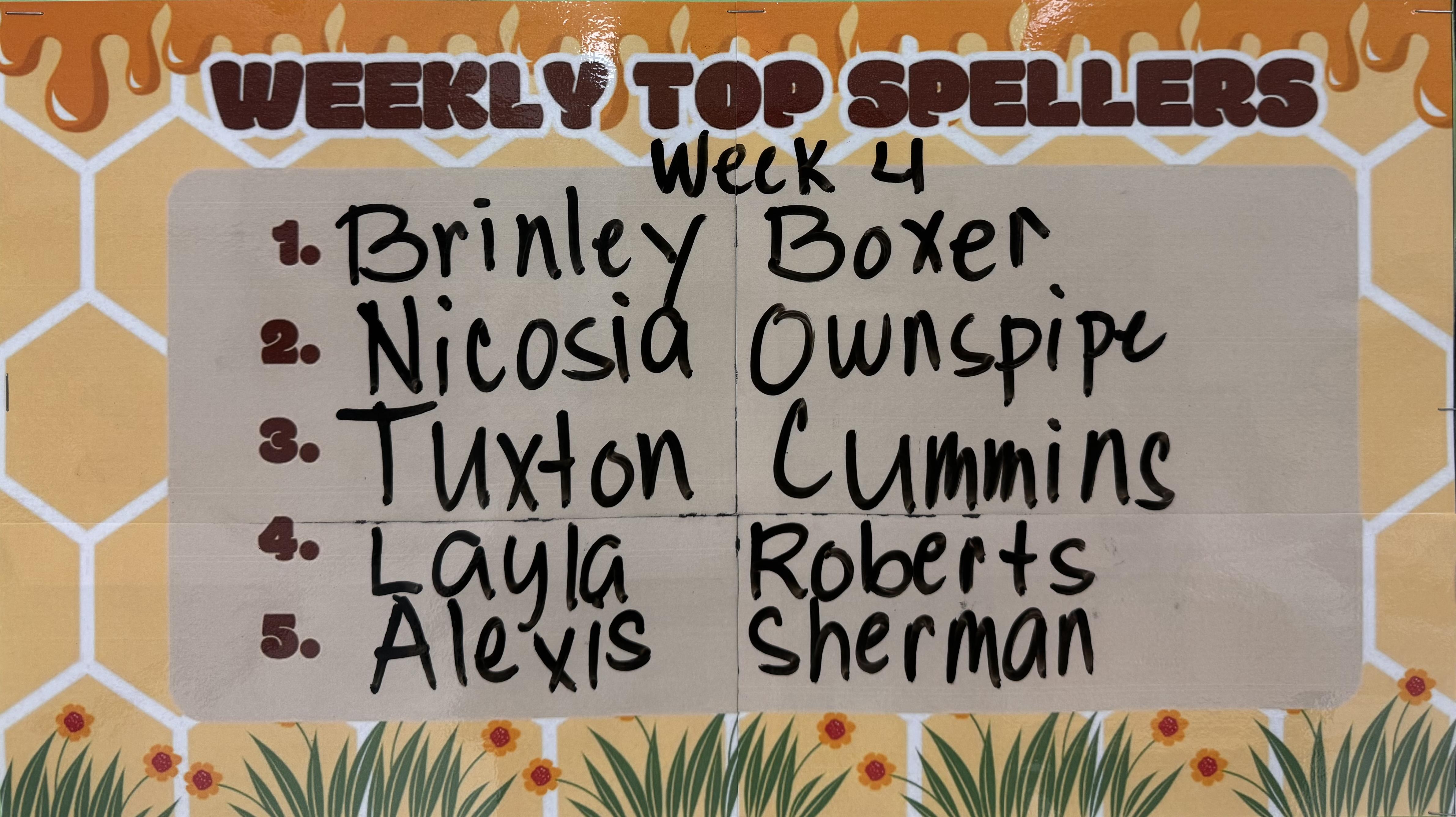 Week 4