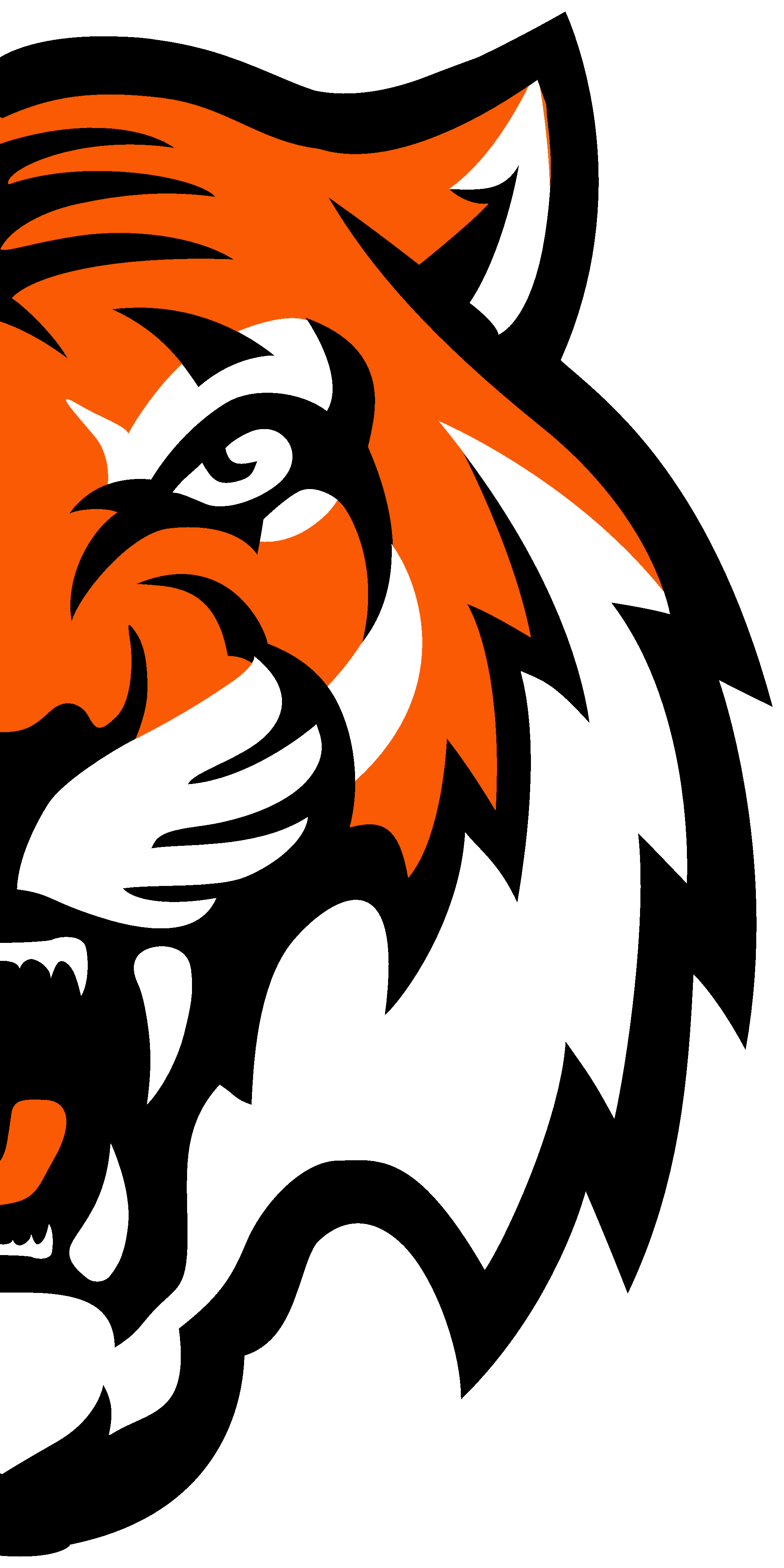 half tiger head half tiger head