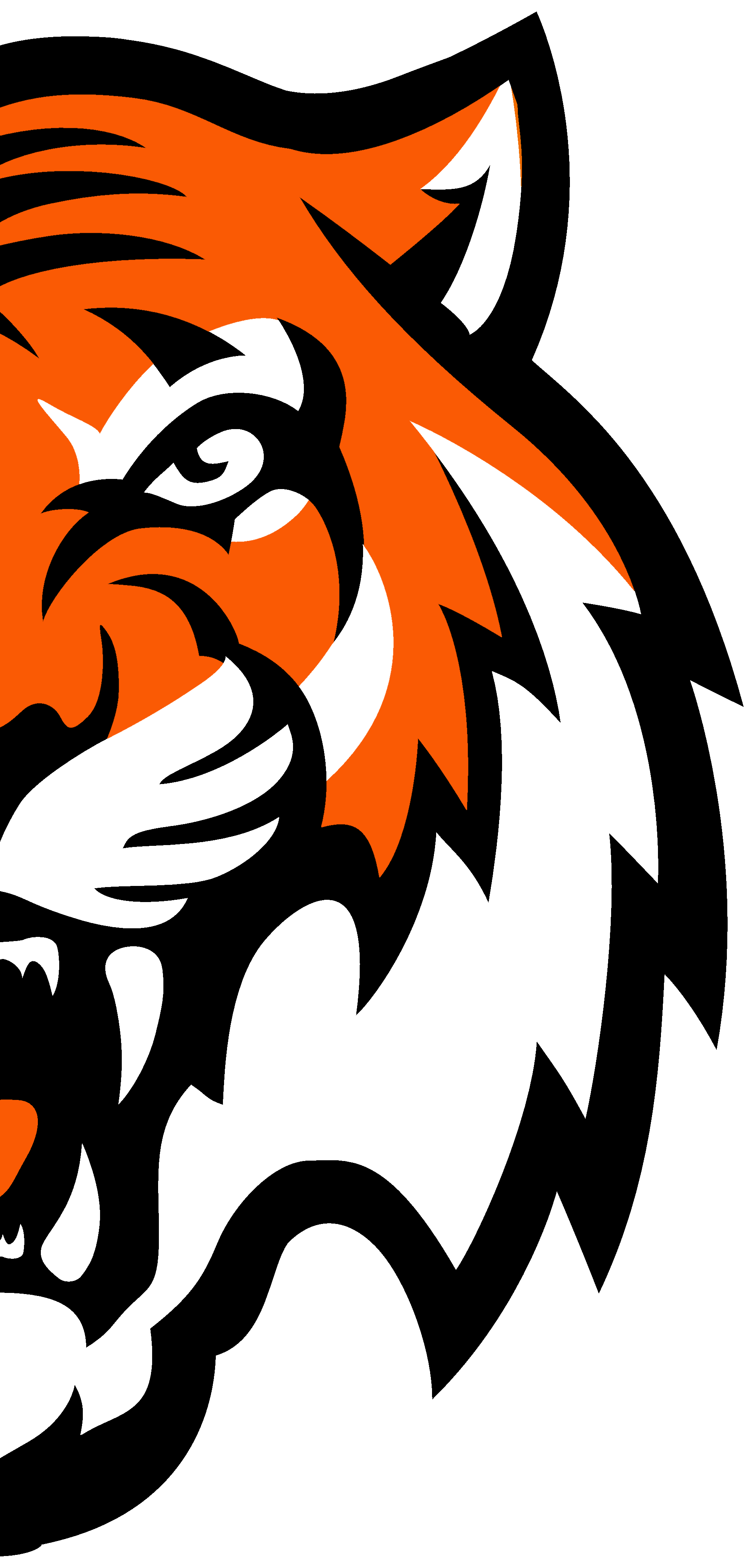 Tiger face Tiger face