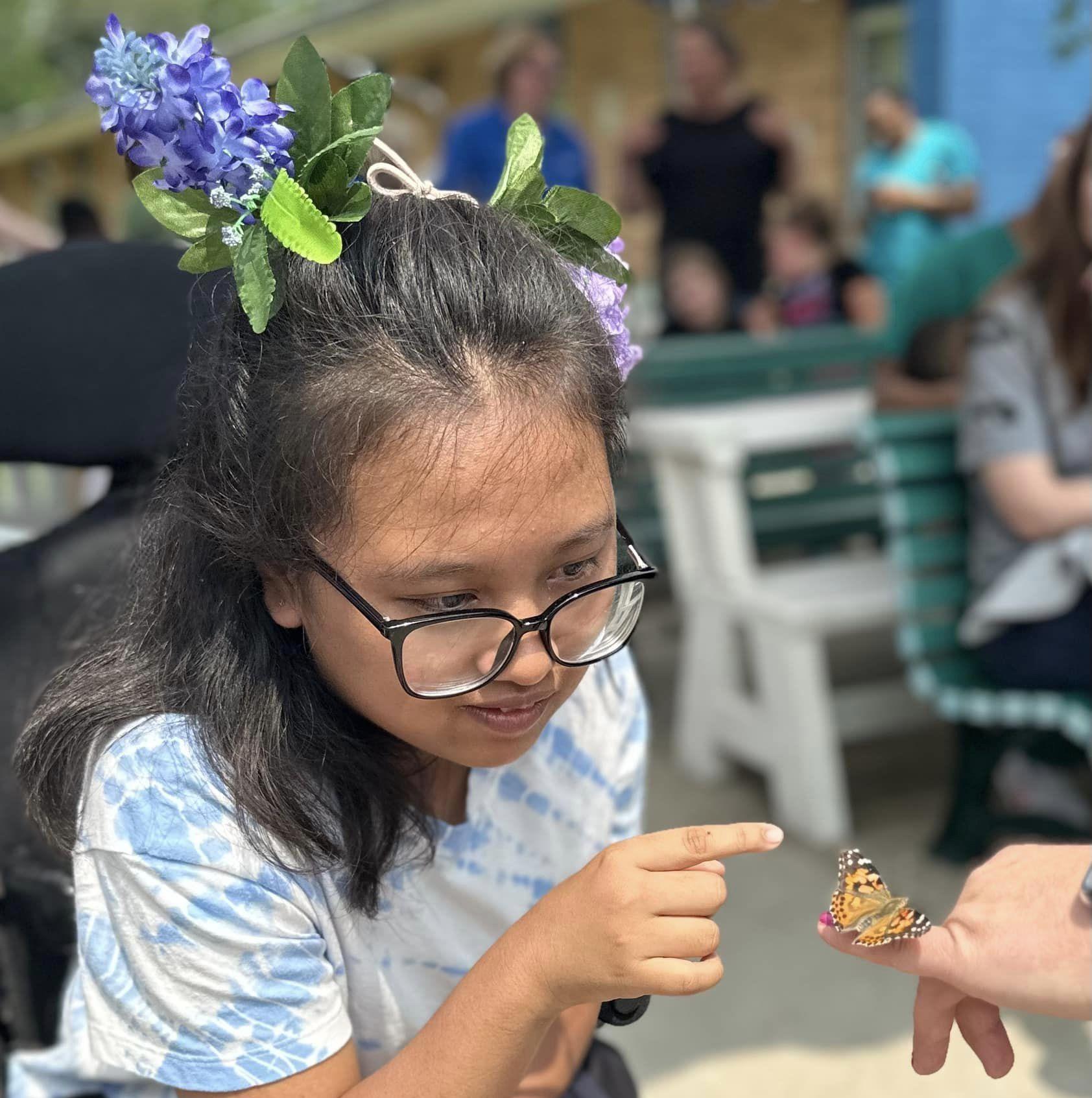 curriculum curriculum