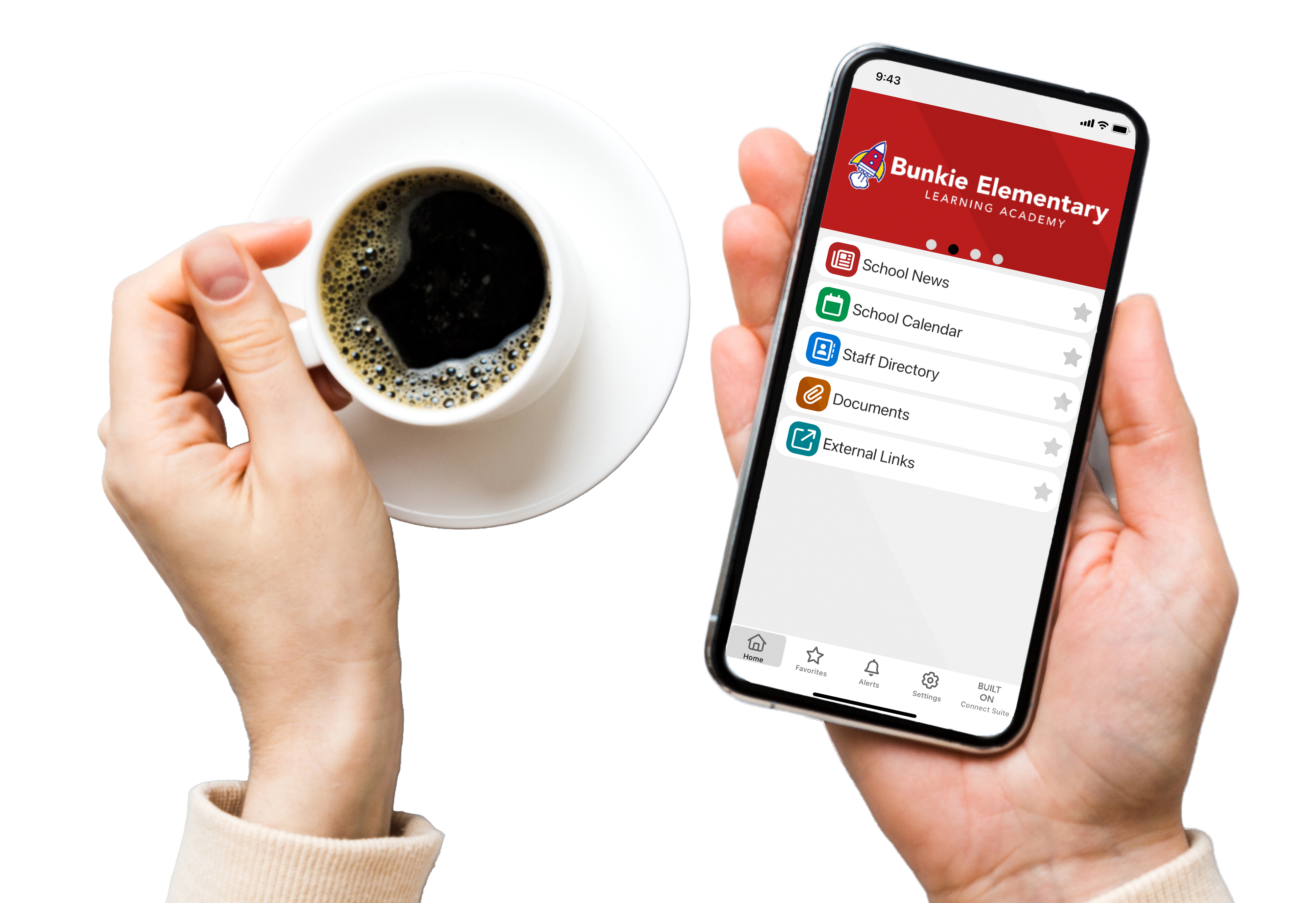 Female Hands holding a phone with a cup of coffee on table Female Hands holding a phone with a cup of coffee on table