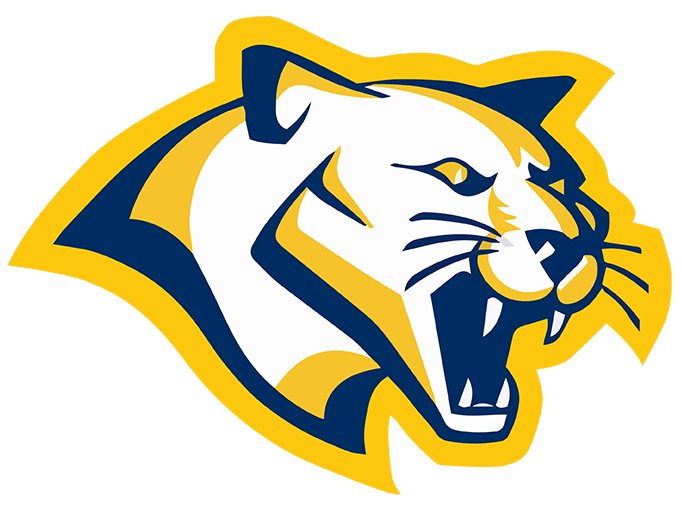 Cougar Image