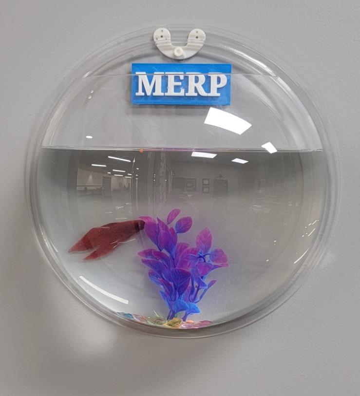 Merp the Micro"Fish"