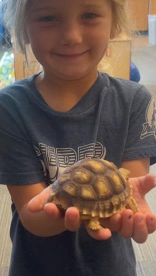 Child holding turtle, class pet