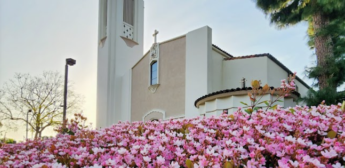 pink flowers