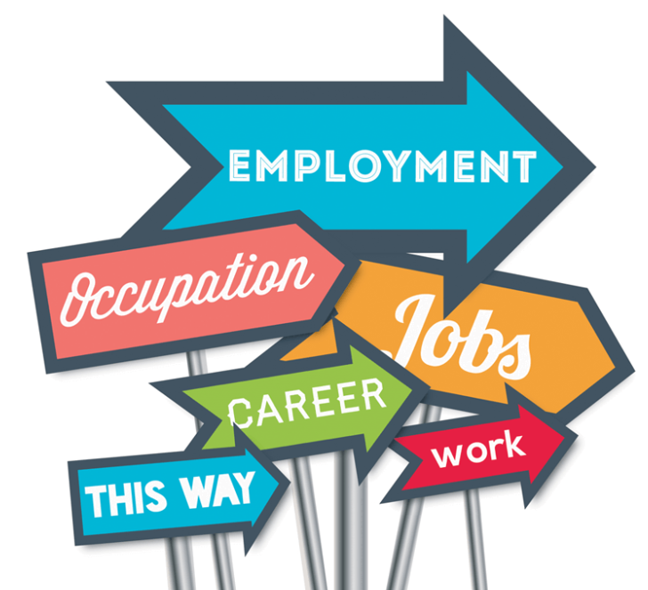 Employment Employment