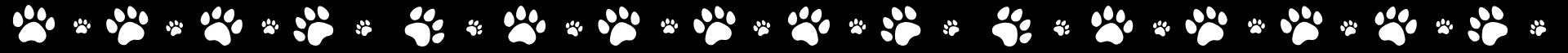 Tiger paws Tiger paws