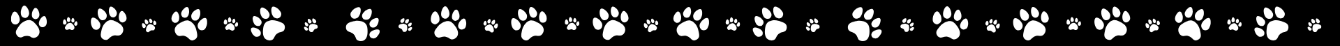 Tiger paws Tiger paws