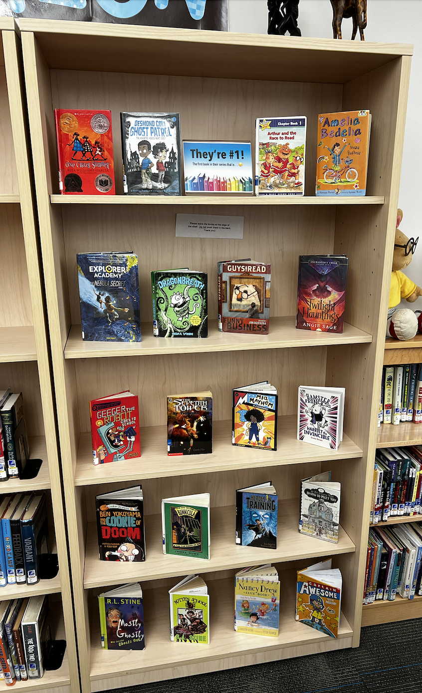 Learning Commons books display