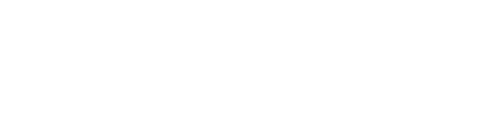 LangAcademy