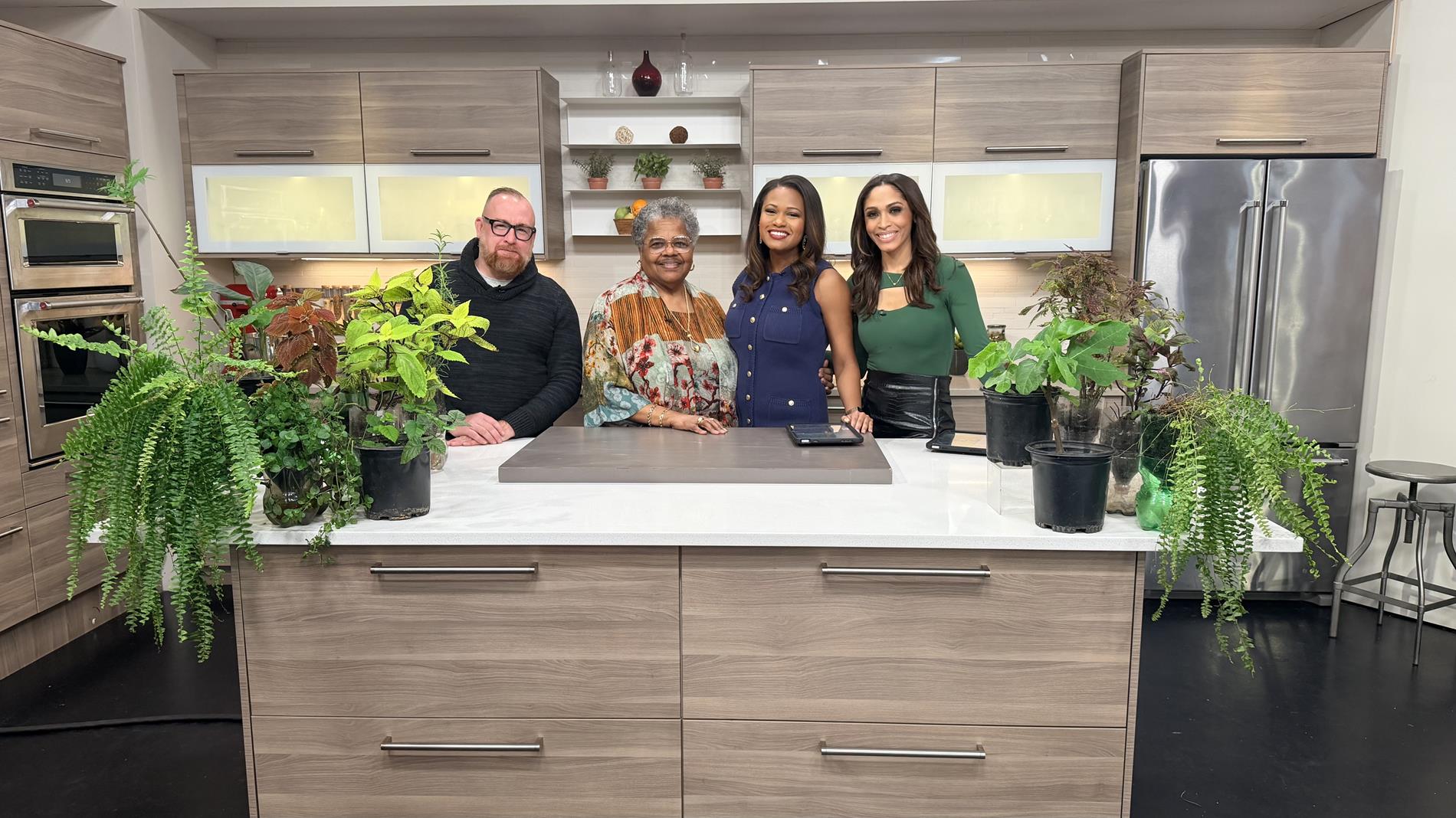 WGN TV Interview 2026